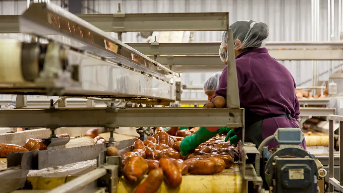 Retail Theft Rings in America: The Organized Crime Links 3 The Organized Retail Crime Pyramid