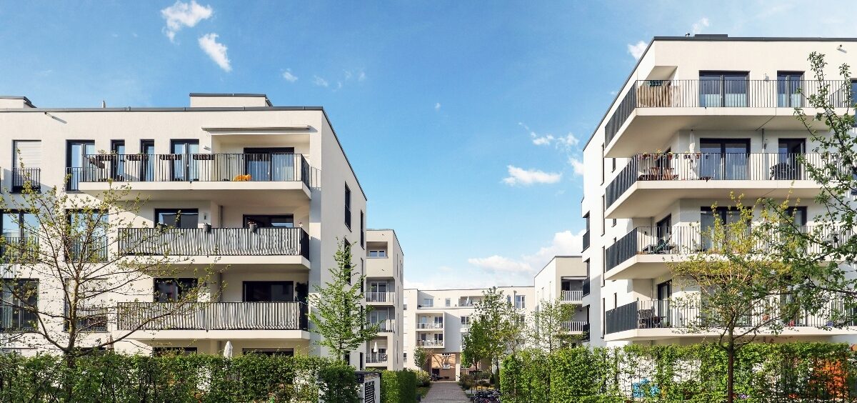 The 'Greedflation' Investigation: Price Gouging in 2025 and Early 2026 2 2. The Great: Margins vs. CPI