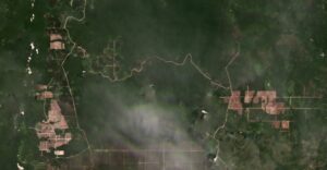 Deforestation in Borneo: The Satellite Evidence 1 Article image: Deforestation in Borneo: The Satellite Evidence