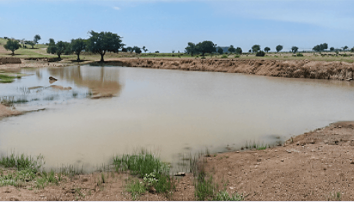 The Foreign Aid Skimming Scandal in Infrastructure Projects 3 The Procurement Cartel: Rigging Bids Through Rotation