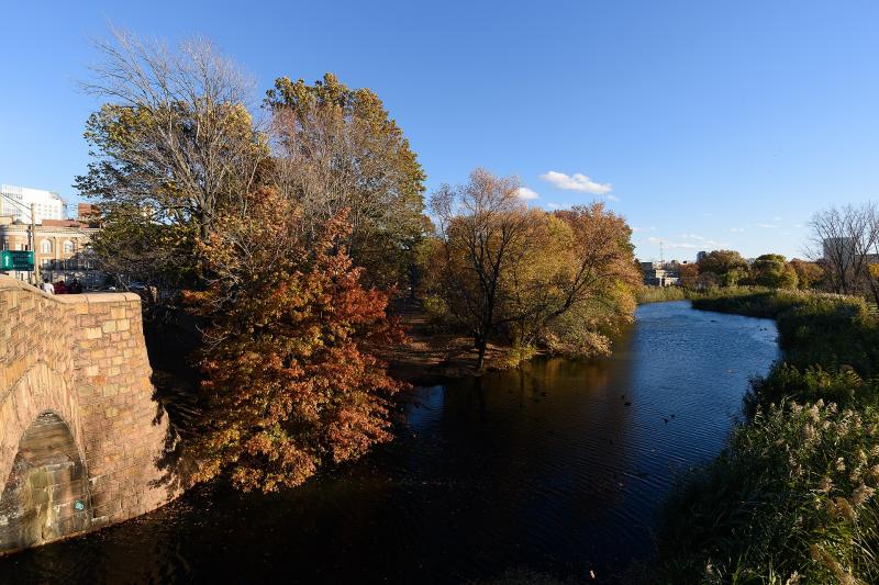 Founding in the Fens: Student Activism and Basement Operations (1971, 1979)