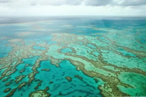 Article image: The Great Barrier Reef Bleaching Cover-up in Australia