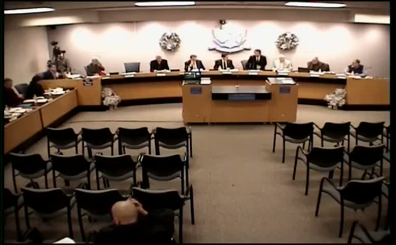 Municipal Incorporation and Home Rule Charter Governance