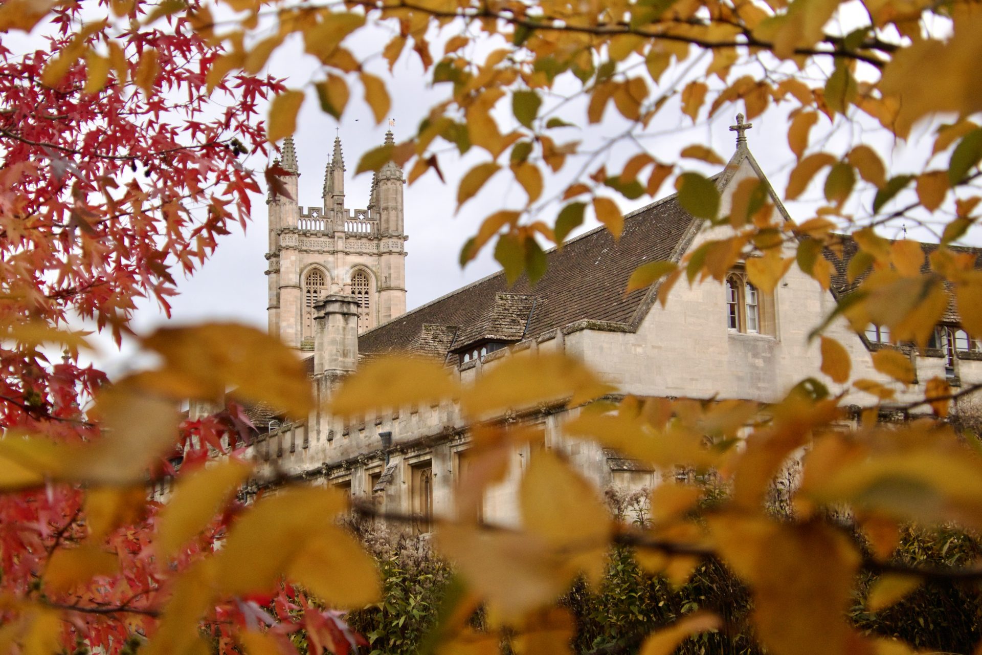 Twenty First Century Endowment Valuations